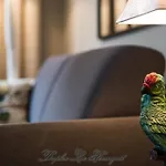 La Venelle Des Greniers à Sel Apartamento *