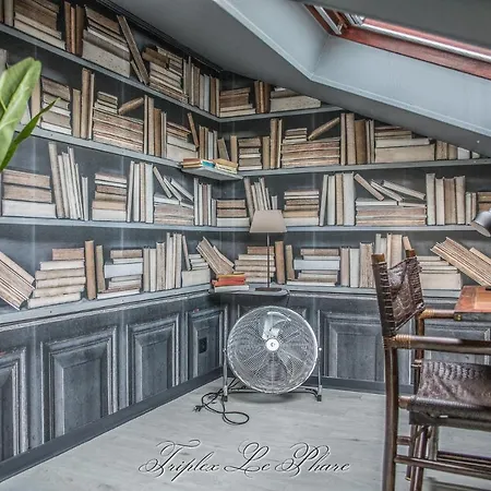 La Venelle Des Greniers A Sel * Honfleur