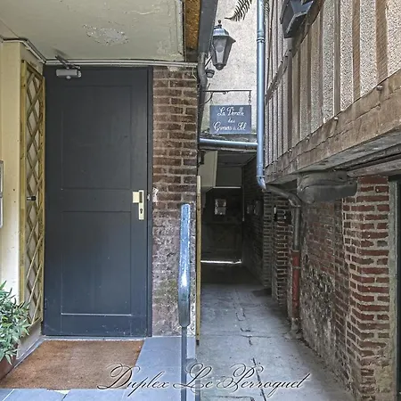 La Venelle Des Greniers A Sel Apartment *