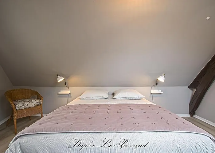 La Venelle Des Greniers A Sel Apartment *