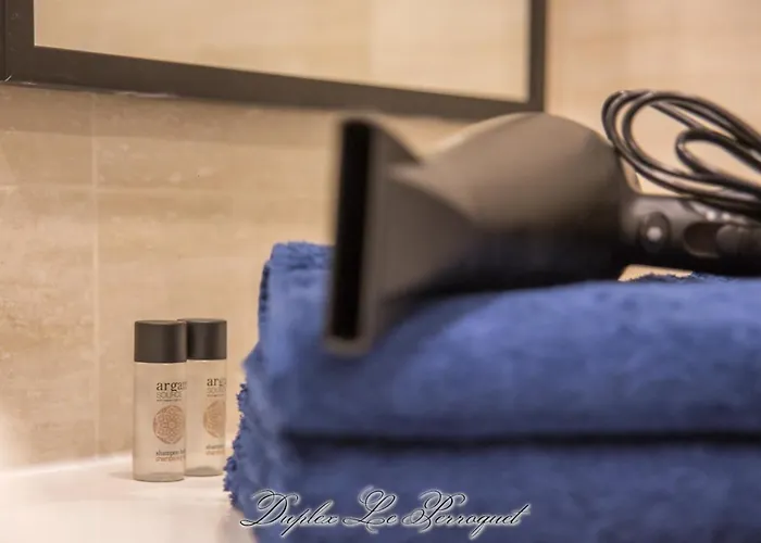 La Venelle Des Greniers A Sel Apartment